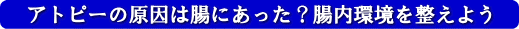 アトピーの原因は腸にあった?腸内環境を整えよう